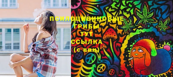 гашик Абаза